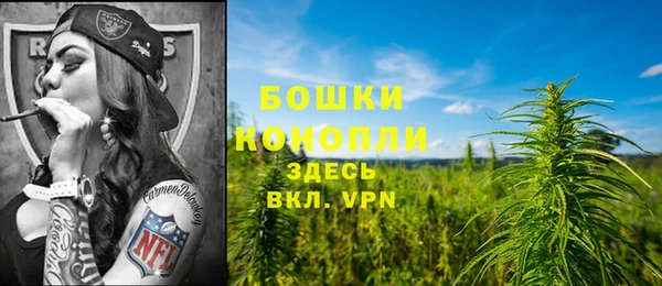 спайс Аша