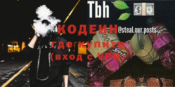 спайс Аша
